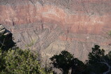 DSC03555.JPG.small.jpeg