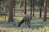 DSC03574_e.JPG.small.jpeg
