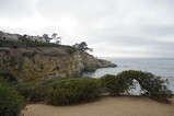 DSC03940.JPG.small.jpeg