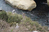 DSC03952.JPG.small.jpeg