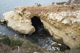 DSC03956.JPG.small.jpeg