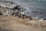 DSC03963.JPG.small.jpeg