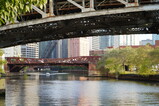 DSC04005.JPG.small.jpeg
