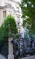 DSC04076_e.JPG.small.jpeg