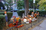 DSC04090.JPG.small.jpeg