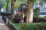 DSC04091.JPG.small.jpeg