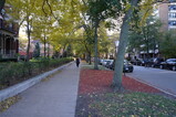 DSC04094.JPG.small.jpeg