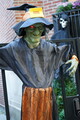 DSC04098.JPG.small.jpeg