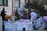 DSC04100.JPG.small.jpeg