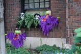 DSC04113.JPG.small.jpeg