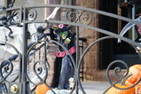 DSC04115.JPG.small.jpeg
