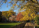 DSC04124_e.JPG.small.jpeg