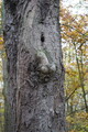 DSC04142.JPG.small.jpeg
