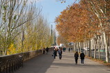 DSC04172.JPG.small.jpeg
