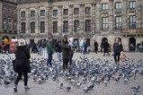DSC04203.JPG.small.jpeg