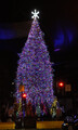 DSC04283_e.JPG.small.jpeg
