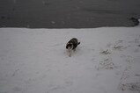 DSC04460.JPG.small.jpeg