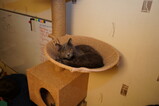 DSC04552.JPG.small.jpeg