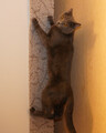 DSC04558_e.JPG.small.jpeg