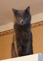 DSC04565_e.JPG.small.jpeg