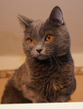 DSC04566_e.JPG.small.jpeg