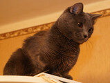 DSC04576_e.JPG.small.jpeg
