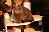 DSC04598.JPG.small.jpeg