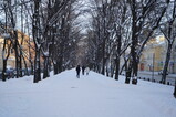 DSC04649.JPG.small.jpeg