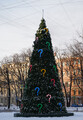 DSC04668_e.JPG.small.jpeg