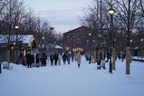 DSC04710.JPG.small.jpeg