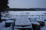 DSC04878.JPG.small.jpeg