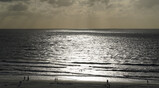 DSC04944_e.JPG.small.jpeg