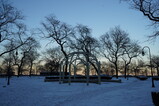 DSC04997.JPG.small.jpeg