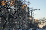 DSC05000_e.JPG.small.jpeg