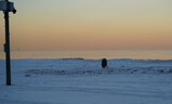 DSC05009_e.JPG.small.jpeg
