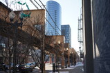 DSC05038.JPG.small.jpeg