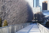 DSC05081.JPG.small.jpeg