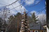 DSC05215.JPG.small.jpeg