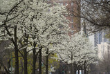 DSC05273_e.JPG.small.jpeg