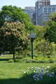 DSC05309.JPG.small.jpeg