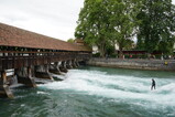 DSC05432.JPG.small.jpeg