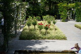 DSC05468.JPG.small.jpeg