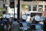 DSC05864.JPG.small.jpeg