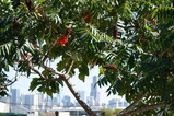 DSC05887.JPG.small.jpeg