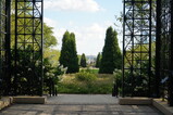 DSC05906.JPG.small.jpeg