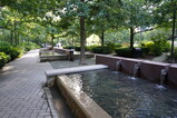 DSC05911.JPG.small.jpeg