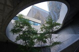 DSC05912.JPG.small.jpeg