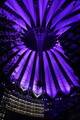 DSC06055.JPG.small.jpeg