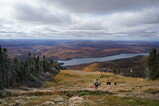 DSC06225.JPG.small.jpeg