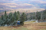 DSC06234.JPG.small.jpeg